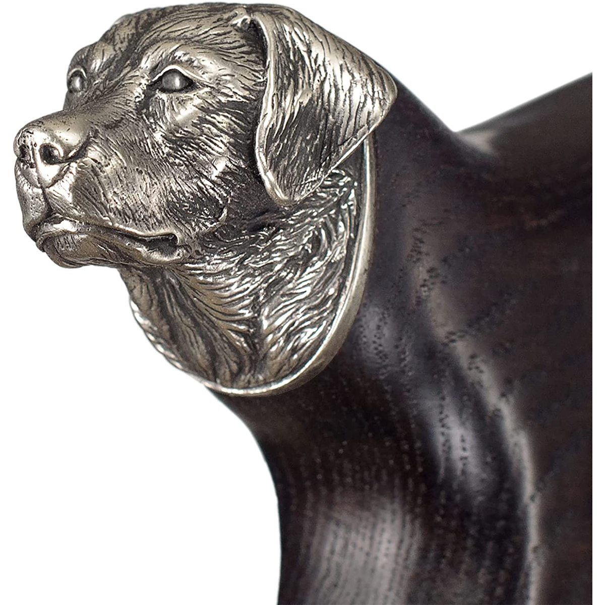 Golden Retriever Or Labrador Cane Or Walking Stick